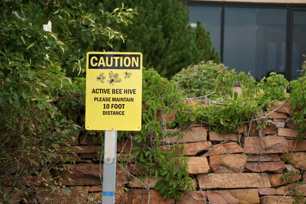 A yellow caution sign warns of an active bee hive and advises maintaining distance.